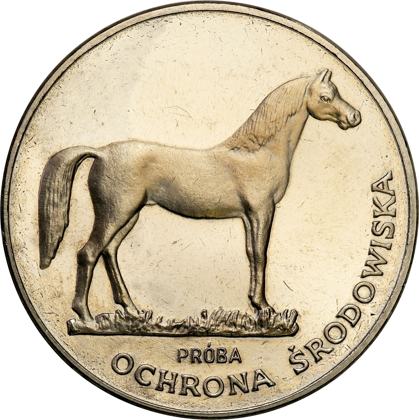 PRL. PRÓBA Nikiel 100 złotych 1981 – Koń